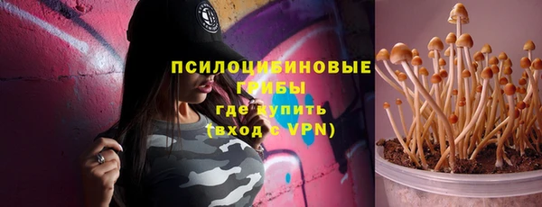 бошки Алзамай
