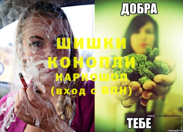 бошки Алзамай