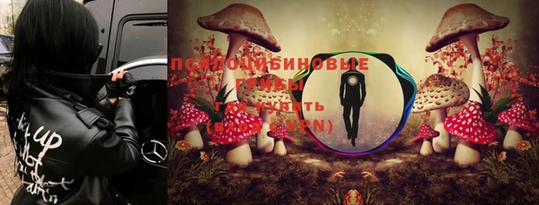ГАЛЛЮЦИНОГЕННЫЕ ГРИБЫ Алексеевка