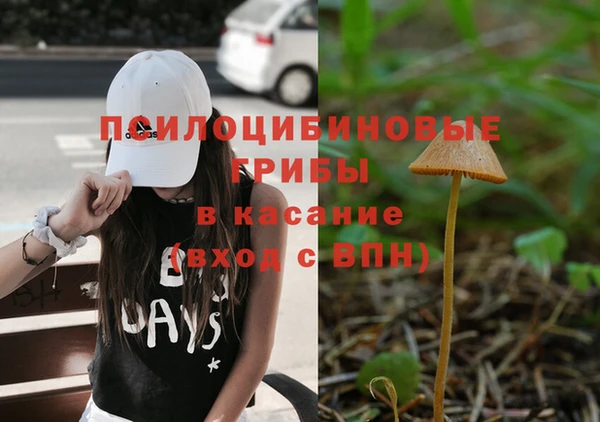 ГАЛЛЮЦИНОГЕННЫЕ ГРИБЫ Алексеевка