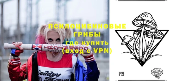 ГАЛЛЮЦИНОГЕННЫЕ ГРИБЫ Алексеевка